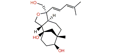 Florether B